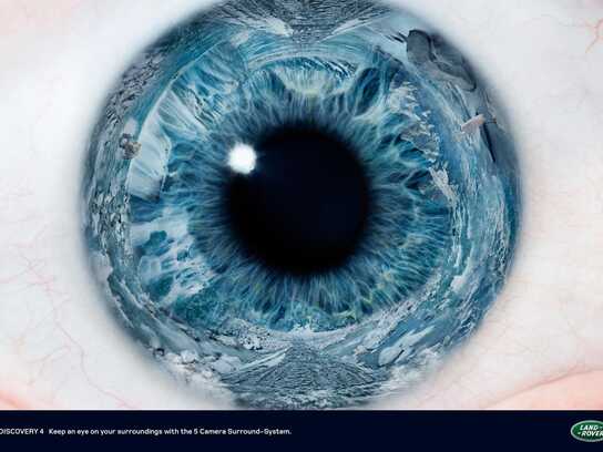 Eye