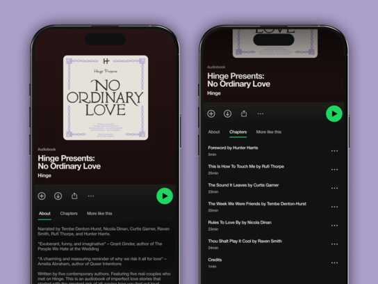 No Ordinary Love