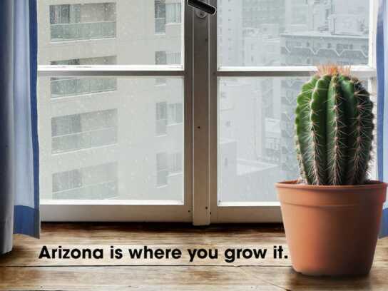 Home is where you grow it