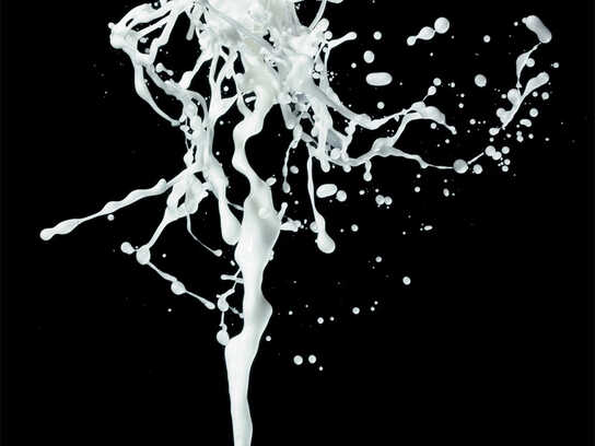 Stockholm celebrates sex