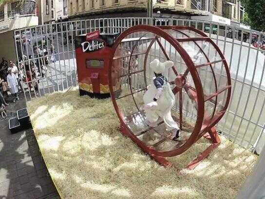 How far will human lab mice go for Fantastic Delites?