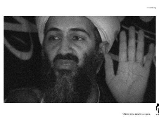 Bin Laden