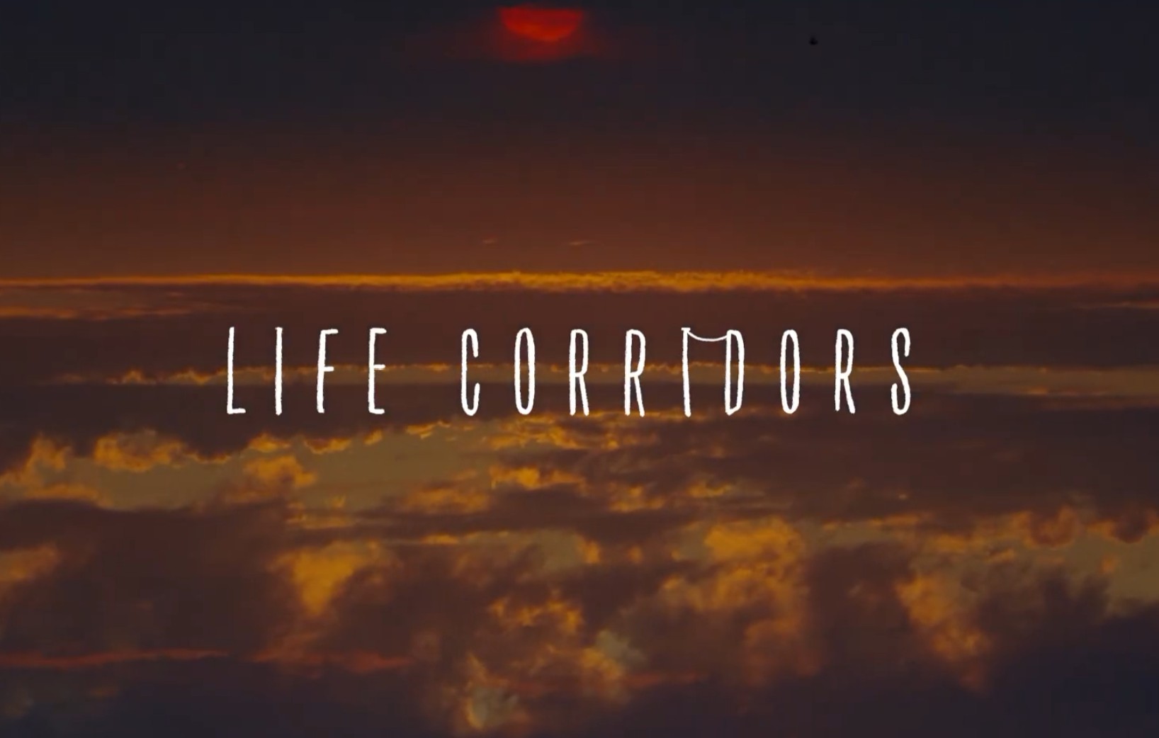 Life Corridors Image