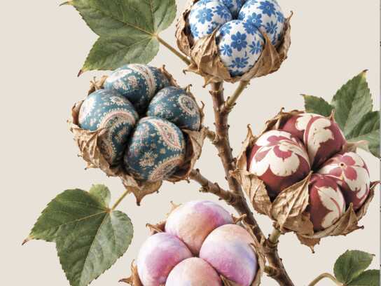 World Cotton Day