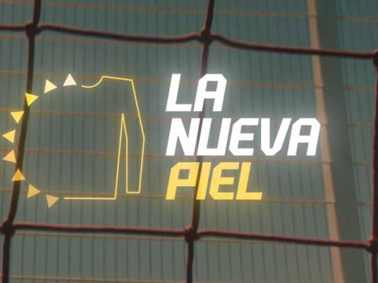 The New Skin