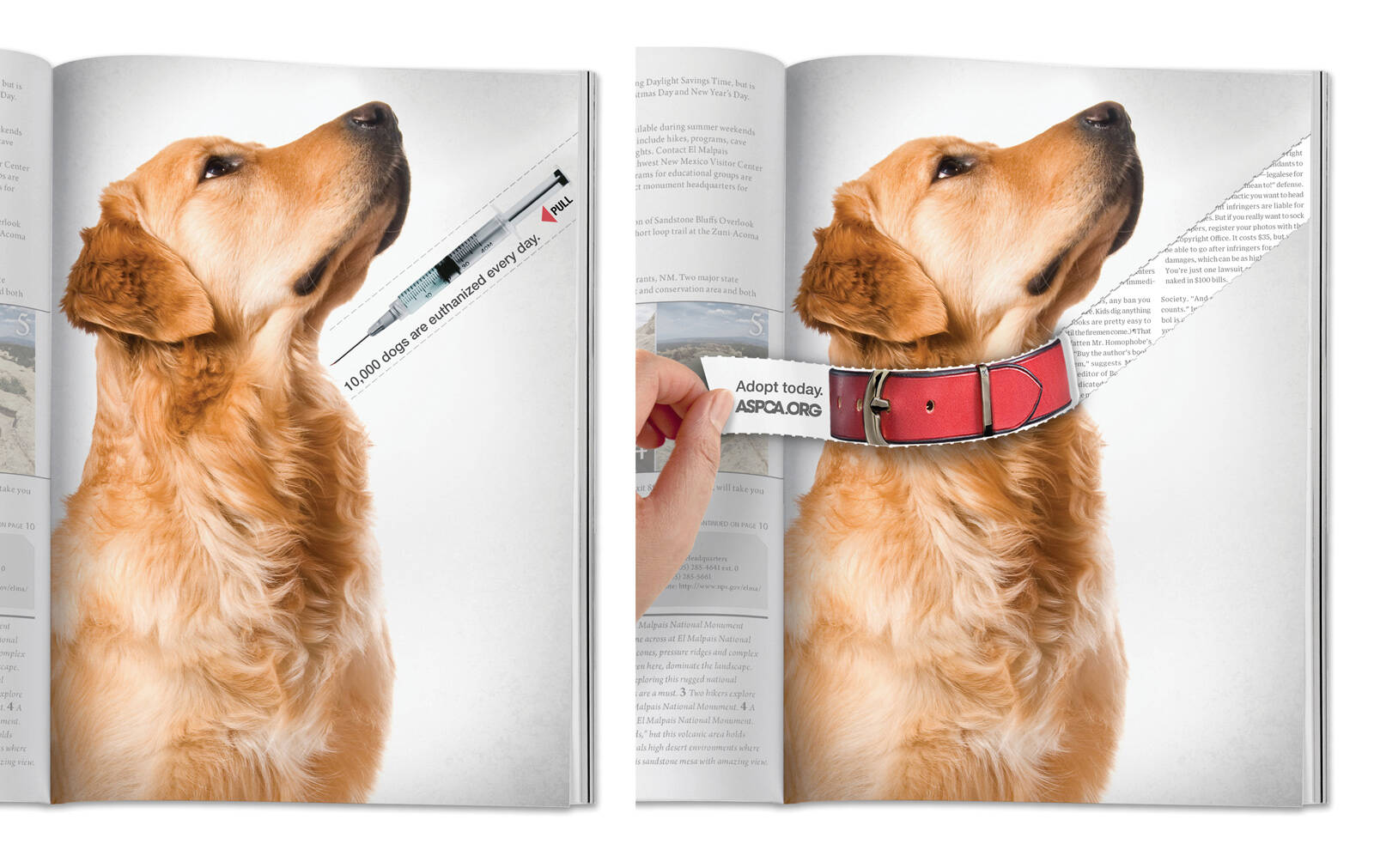 Aspca Dog Collar Ads Of The World Part Of The Clio Network