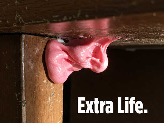 Extra Life