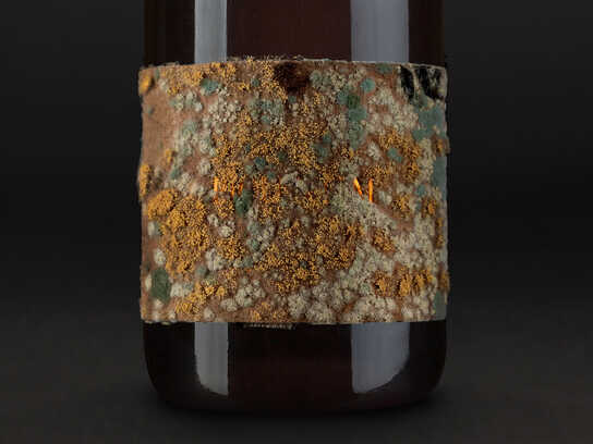 Label created by the wine itself