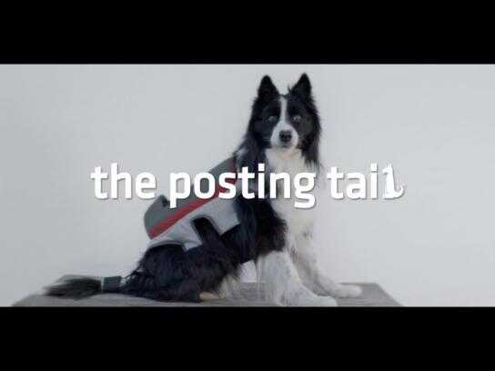 The posting tail