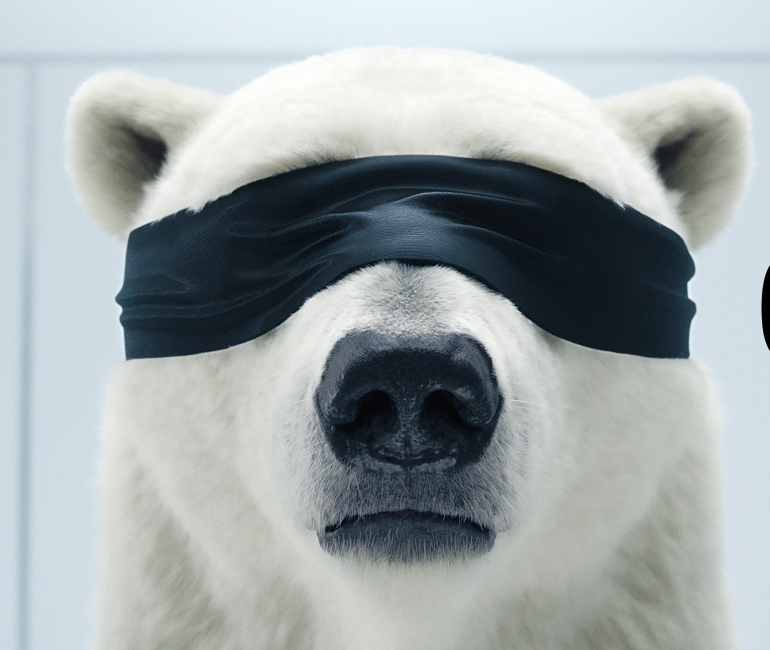 SBLX Spot Teaser Image