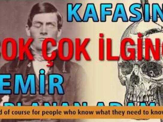 Ginseng G115, Mother’s Day