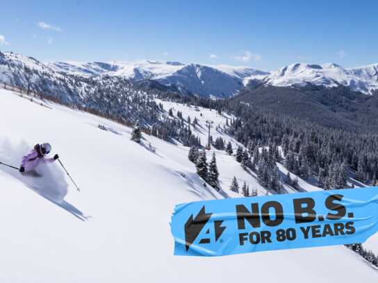 No B.S. Just Skiing