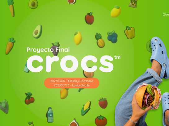 Macro Proyecto/ Proyecto Afin (Diseño Visual B)