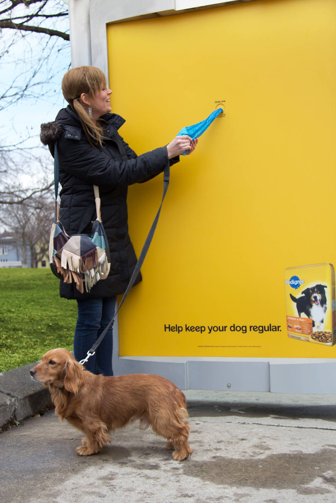 Pedigree poop clearance bags