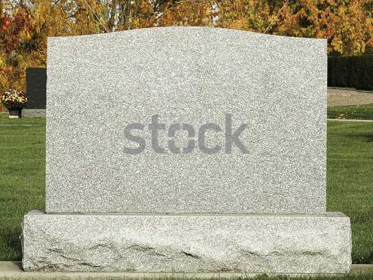 Stock