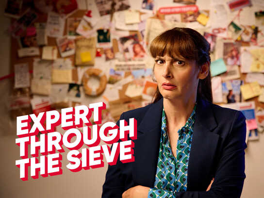 Expert Through the Sieve