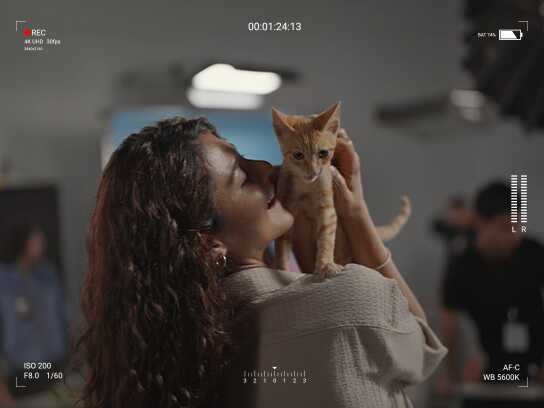 Adoption Catsting