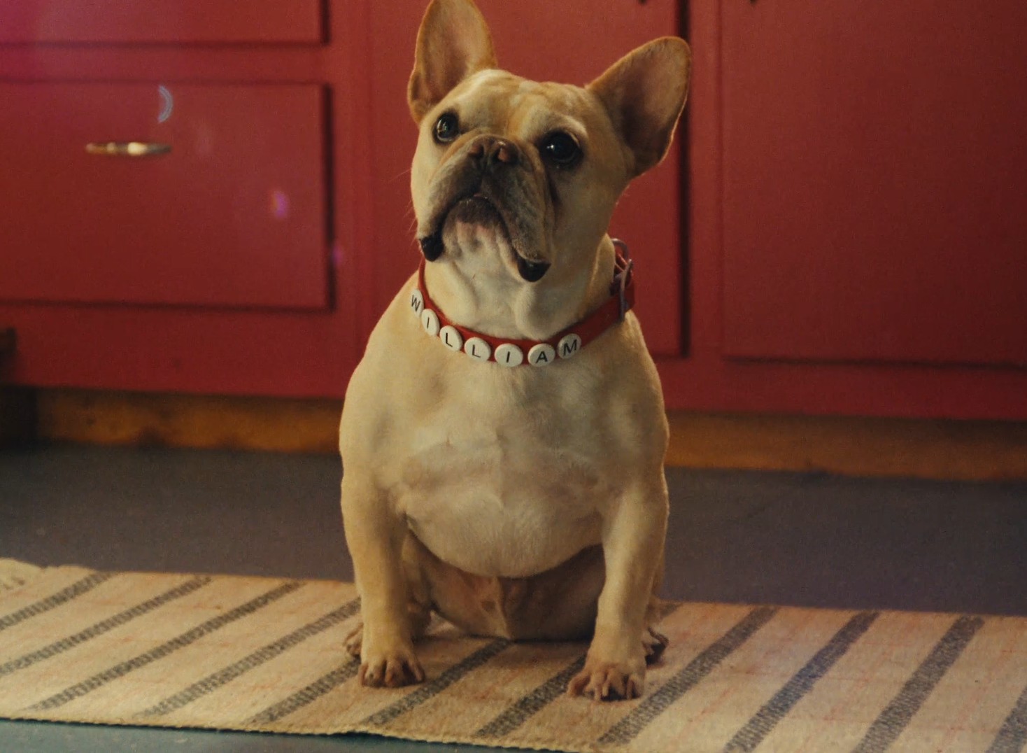 Feed the Obsession Image