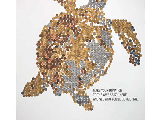 Turtle, Toucan, Deer