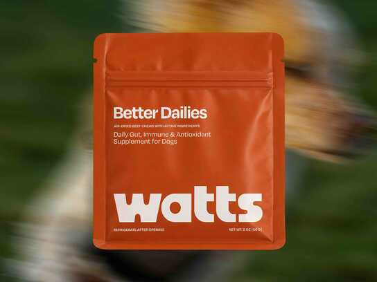 Better Dailies