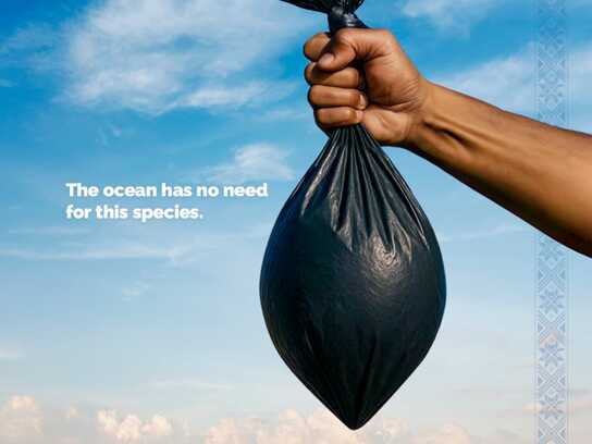 Trash Bag