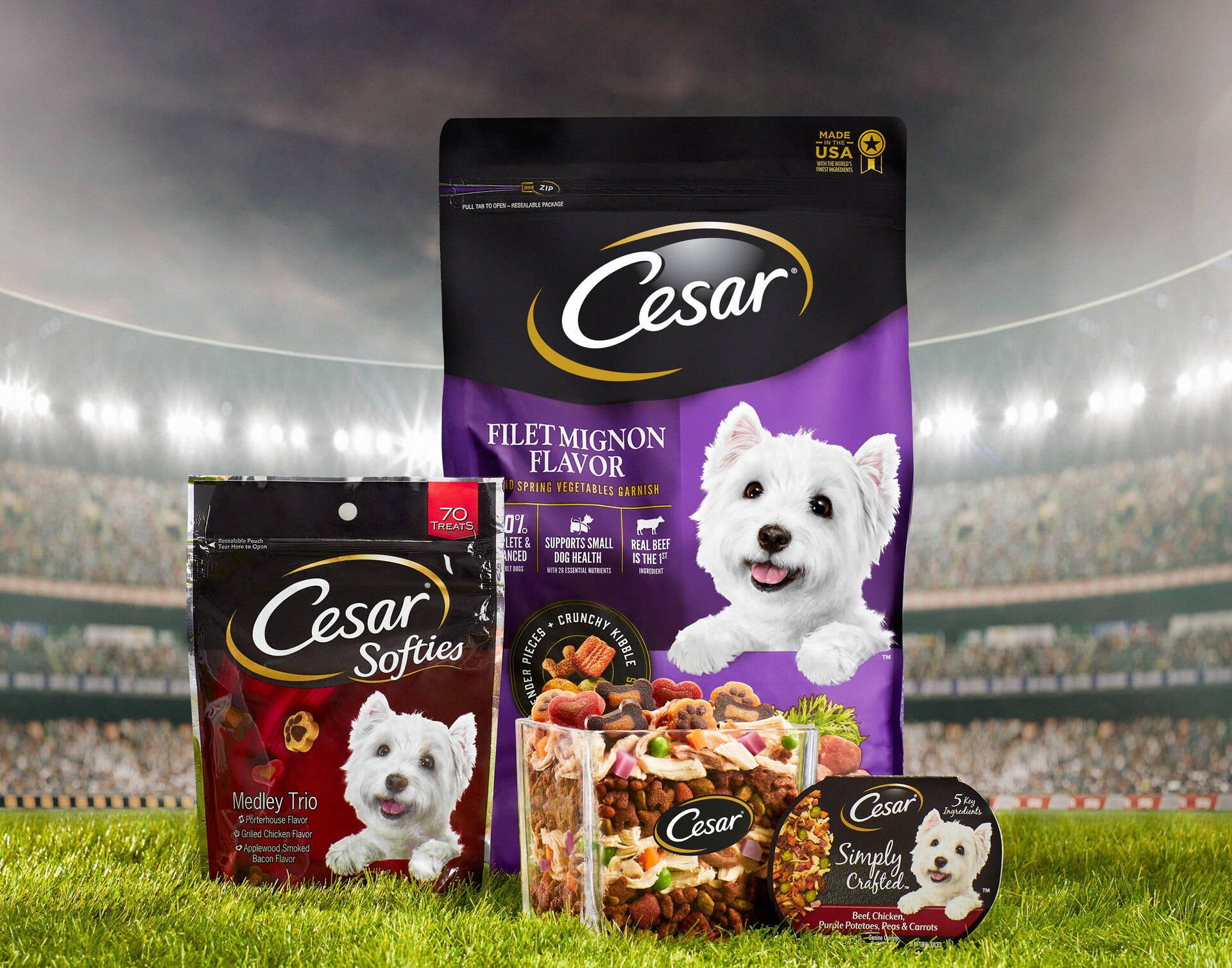 Cesar Canine Cuisine Kicks Off Game Day With A Spread for Dogs Ads of the World Part of The Clio Network