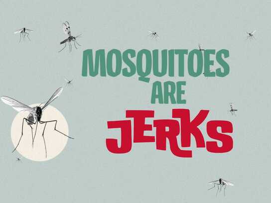 Mosquitos Are Jerks