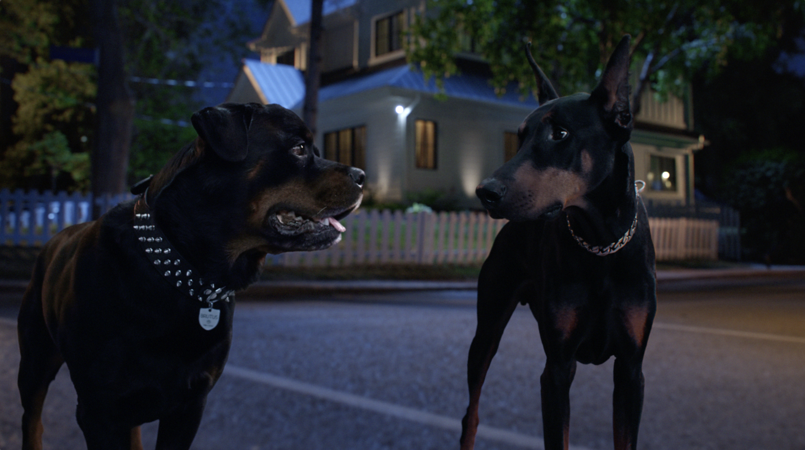 Changing of the Guards Year 2 Image