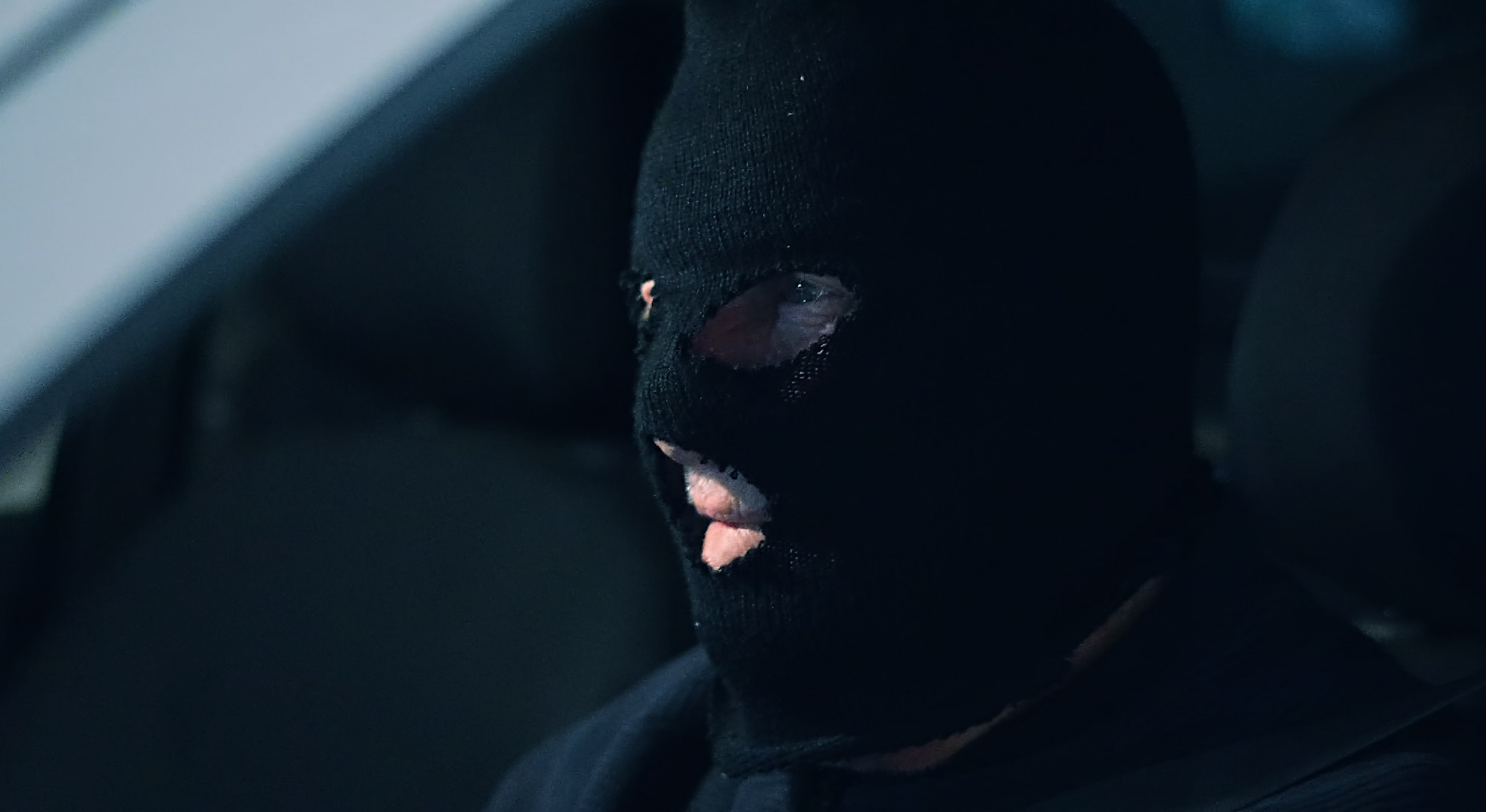 It's a crime to eat just one! Image