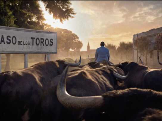 PASO DE LOS TOROS ‘100 Years’