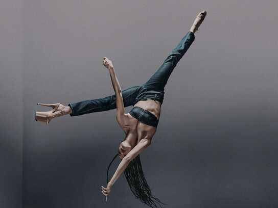 Anatomic Denim