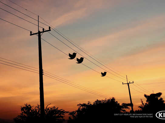 Tweets, Perfect Picture, Reactions