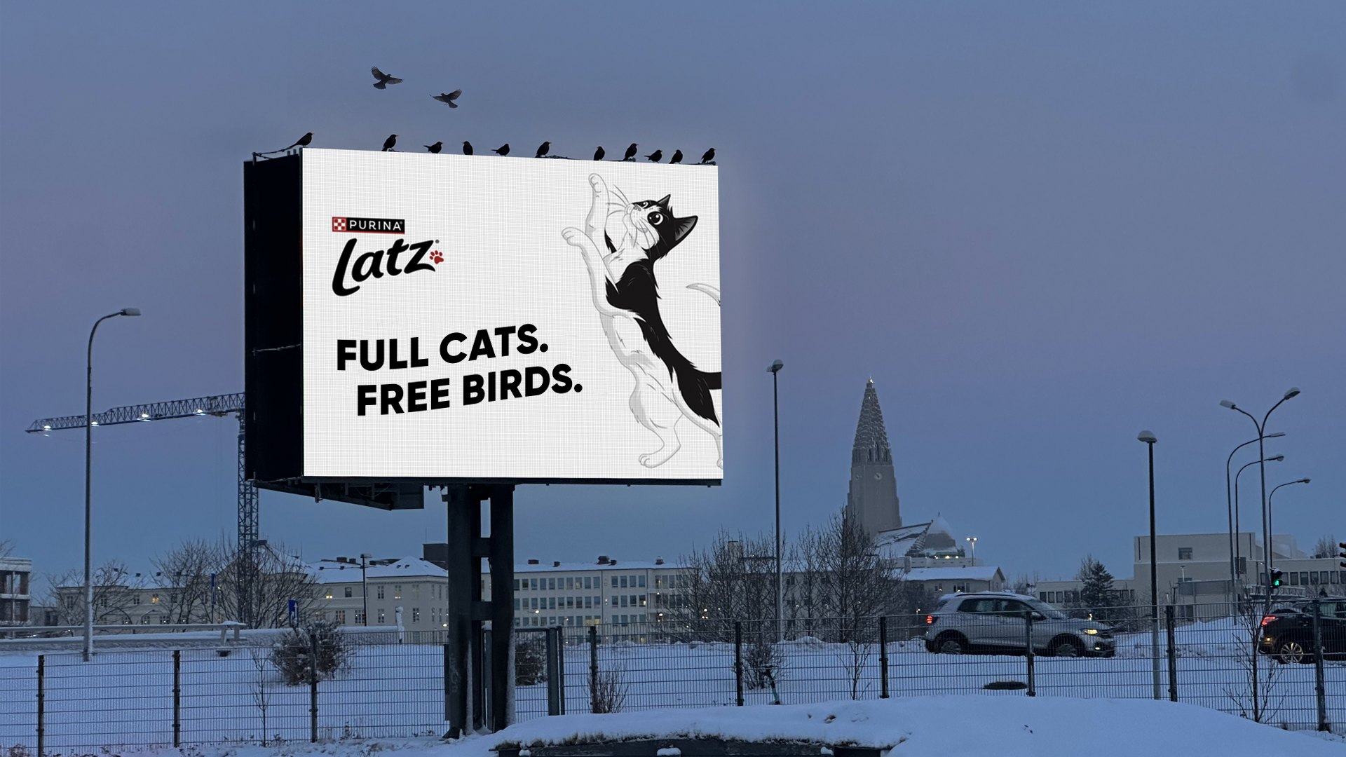 Full cats. Free birds. Image