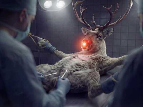 Better Safe Than Neutered