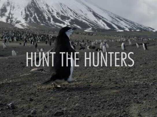 Hunt the Hunters