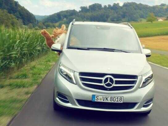 Prepared for anything