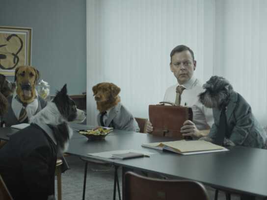 Office Dogs and Giant Bunnies