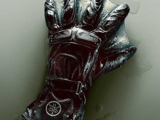 Gloves