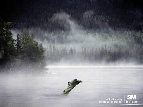 Loch Ness monster, UFO