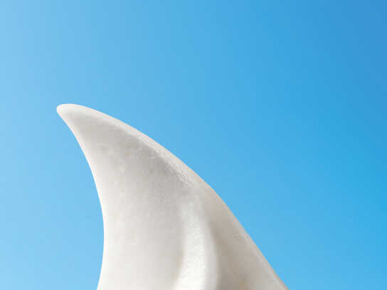 The Great White.