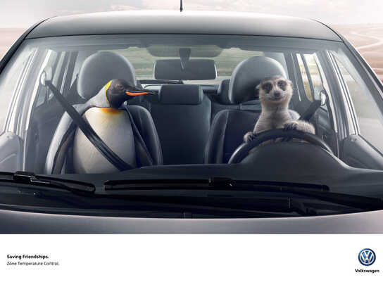 Meerkat &amp; Penguin, Bear &amp; Camel, Giraffe &amp; Seal