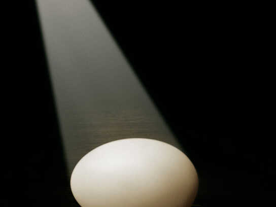 Egg