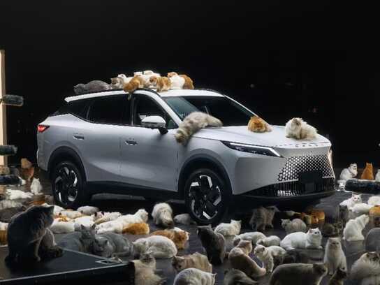 Everything is Essential