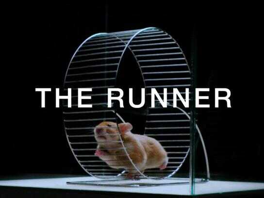 The runner