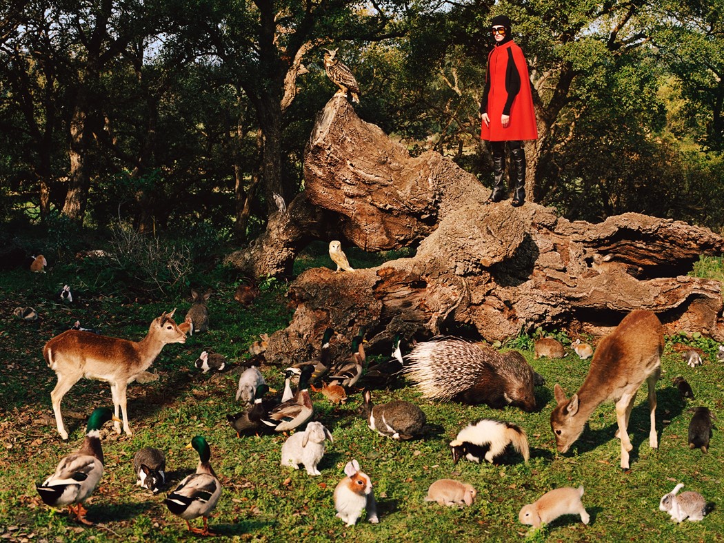 Pre-Fall 2020: So Deer To Me Image