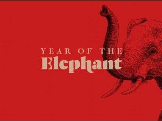 Year of the Elephant