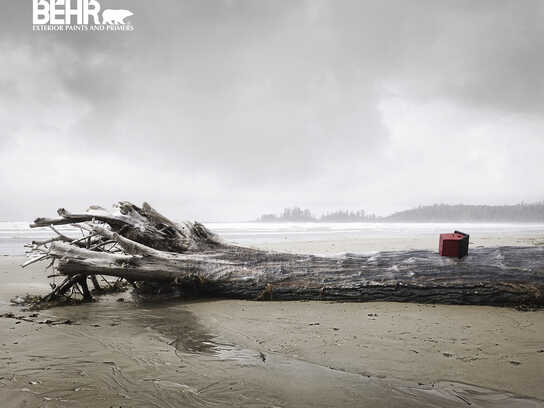 Driftwood