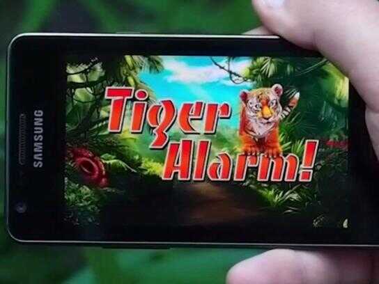 Tiger Alarm!