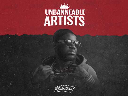 Unbanneable Artists