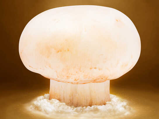 Mushroom, Tomato, Artichoke